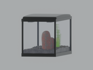 Aquarium Fish Tank Model 3D