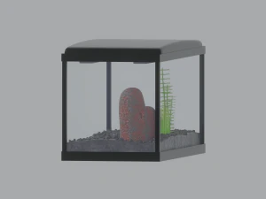 Aquarium Fish Tank 3D Model