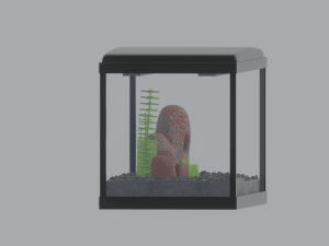 Aquarium Fish Tank Model 3D