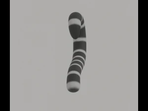 Coda di lemure dalla coda ad anelli Modello 3D