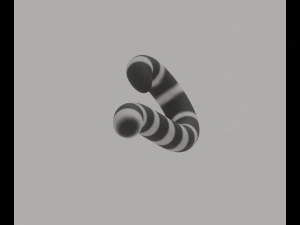 Coda di lemure dalla coda ad anelli Modello 3D