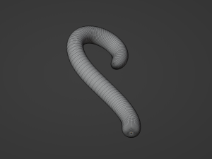 Ring Tailed Lemur Tail Model 3D