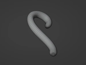 Coda di lemure dalla coda ad anelli Modello 3D