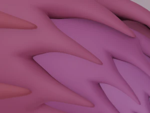 Futrzany Ogon Model 3D