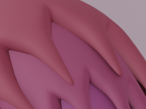 Furry Tail 3D Модель