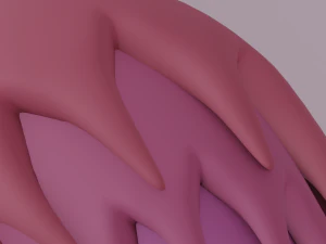 Futrzany Ogon Model 3D