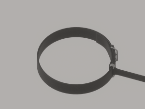 Dog Leash 3D 模型