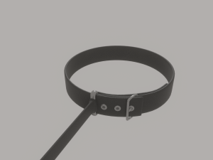 Dog Leash 3D 模型