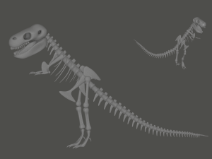 Tyrannosaurus Rex Fossil 3D 모델