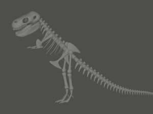 Tyrannosaurus Rex Fossil 3D Model