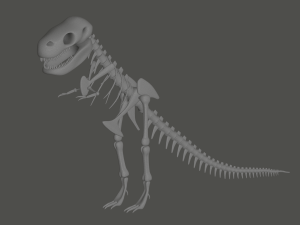Tyrannosaurus Rex Fossil 3D Model