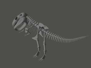 Tyrannosaurus Rex Fossil 3D Model