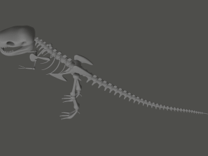 Tyrannosaurus Rex Fossil 3D Model