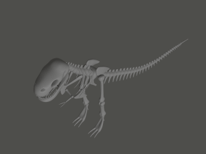 Tyrannosaurus Rex Fossil 3D Model