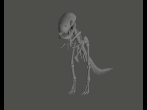 Tyrannosaurus Rex Fossil 3D Model