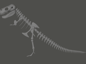 Tyrannosaurus Rex Fossil 3D Model
