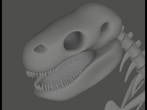 Tyrannosaurus Rex Fossil 3D Model