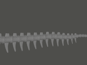 Tyrannosaurus Rex Fossil 3D Model