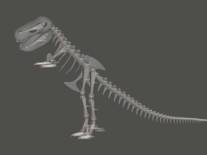 Tyrannosaurus Rex Fossil 3D Model