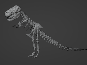 Tyrannosaurus Rex Fossil 3D Model