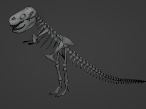 Tyrannosaurus Rex Fossil 3D Model