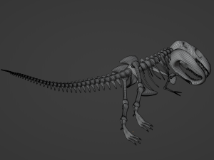 Tyrannosaurus Rex Fossil 3D Model