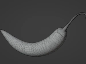 Hot Pepper 3D Model