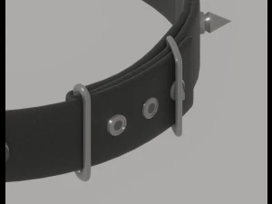 Spiked Collar 3D Model