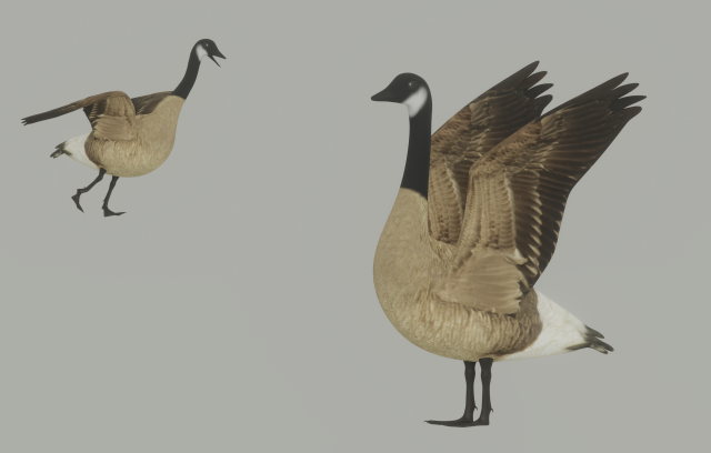 Goose 3D-Modell .c4d .max .obj .3ds .fbx .stl .blend 