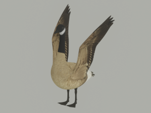 Goose 3D-Modell