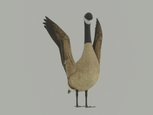 Goose 3D-Modell