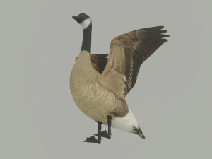Goose 3D-Modell