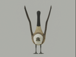 Goose 3D-Modell