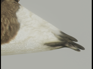 Goose 3D-Modell