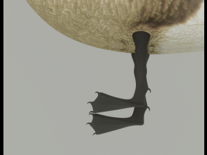 Goose 3D-Modell