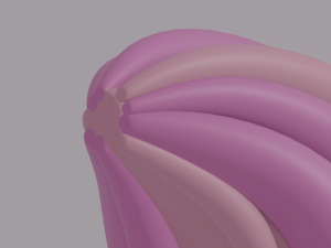 Tail Modelo 3D