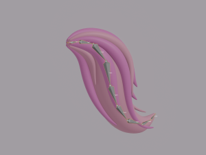 Tail Modelo 3D