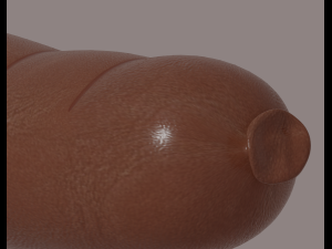 Sausage 3D Model