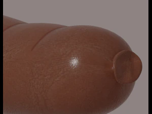 Salsiccia Modello 3D