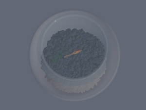 Round Aquarium with GoldFish Model 3D