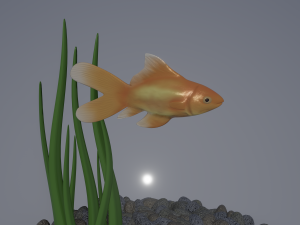 Round Aquarium with GoldFish Model 3D