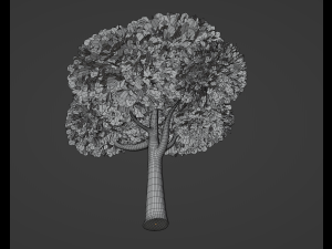 Toon Tree 3D Model