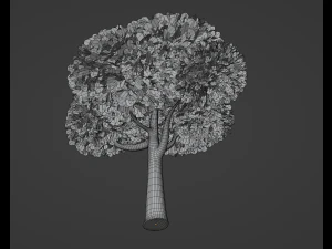 Toon Tree 3D Model