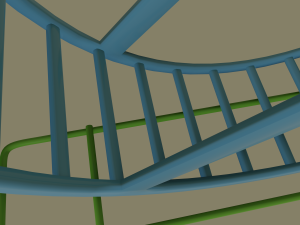 Hamster Wheel 3D Model