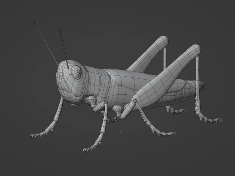 Grasshopper 3D Model