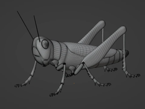 Grasshopper 3D Model