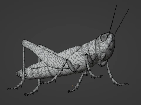 Grasshopper 3D Model