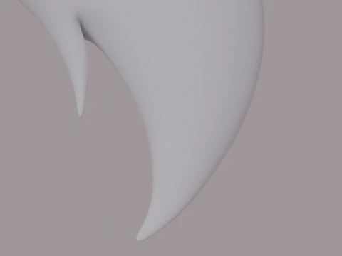 Fox Tail 3D Model