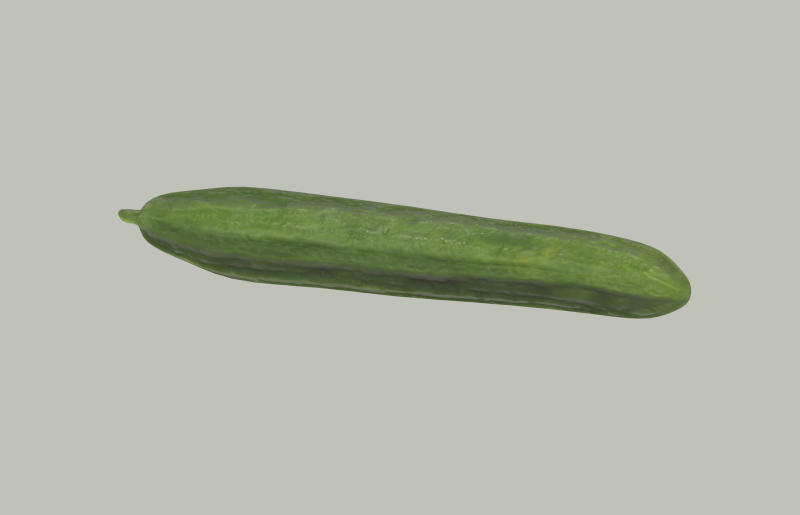 Long Cucumber 3D Модель .c4d .max .obj .3ds .fbx .stl .blend 