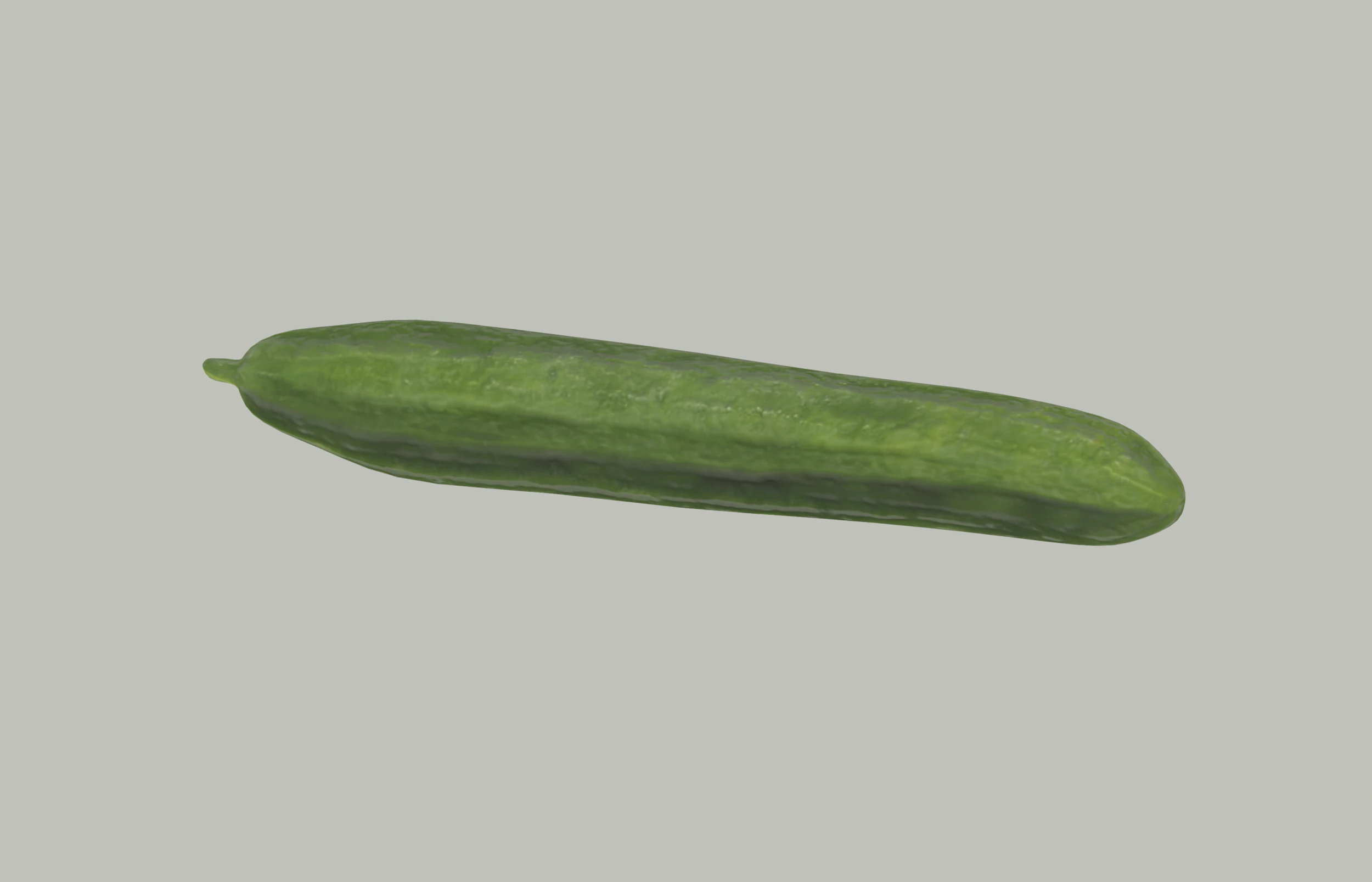 Long Cucumber 3D Model .c4d .max .obj .3ds .fbx .stl .blend 